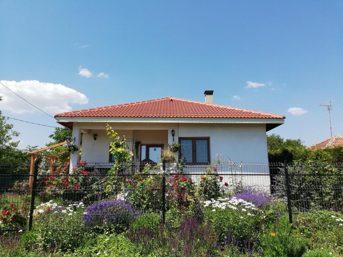 ホテル House Albena ドゥランクラク エクステリア 写真