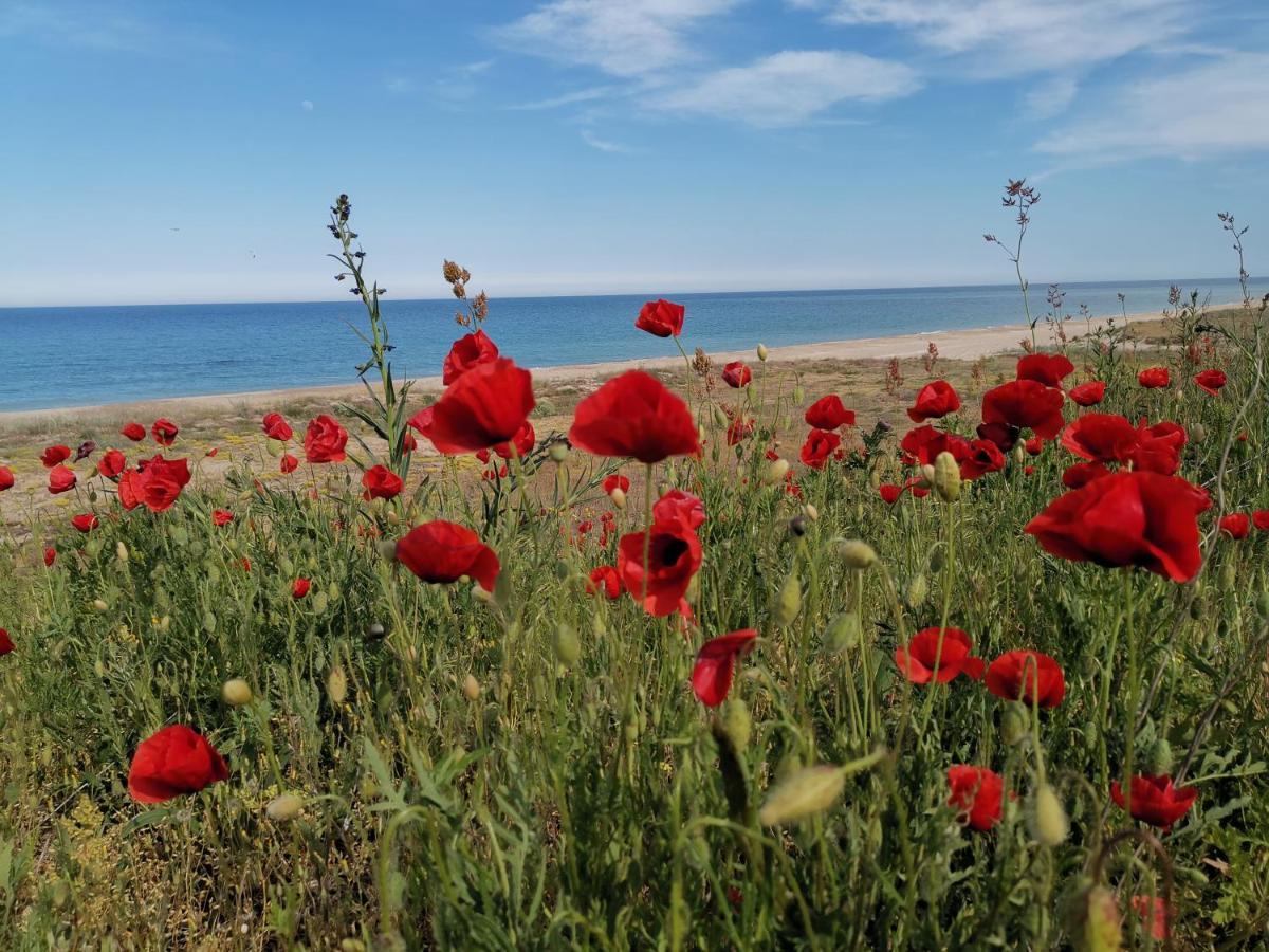 ホテル House Albena ドゥランクラク エクステリア 写真