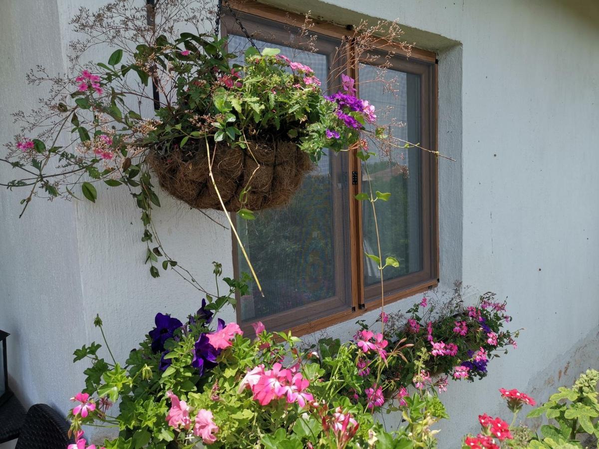 ホテル House Albena ドゥランクラク エクステリア 写真