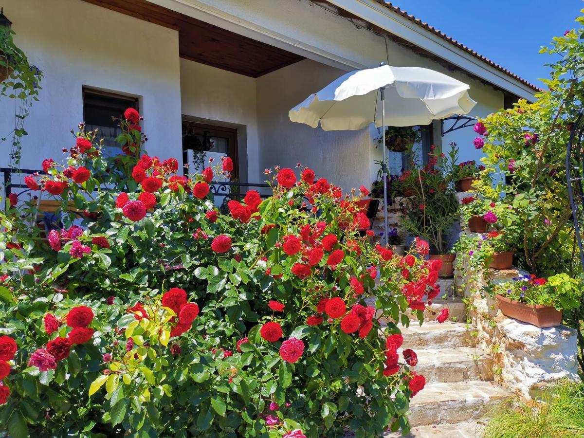 ホテル House Albena ドゥランクラク エクステリア 写真